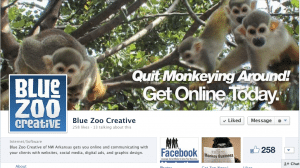 Blue Zoo Creative Facebook Cover 