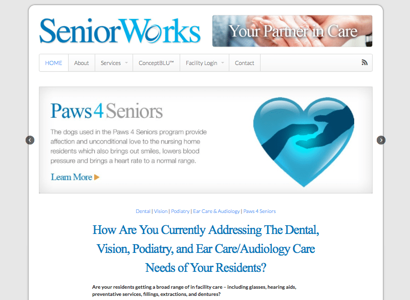 Senior Works Website