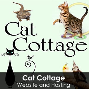 Cat Cottage