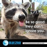 raccoon-be-good