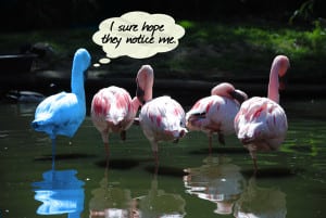 blue-flamingo-763782_1920