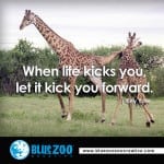 giraffe-kicking3