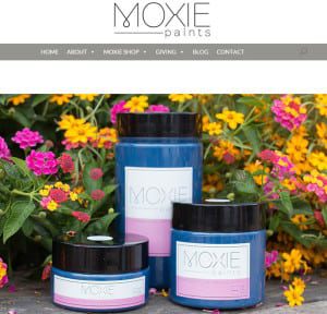 portfolio - graphic-Moxie-Paints