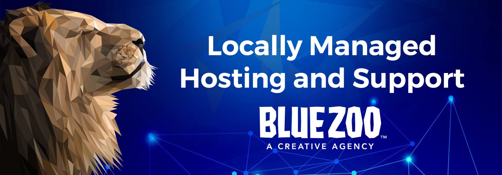 Blue-Zoo-Websites-Header-Background