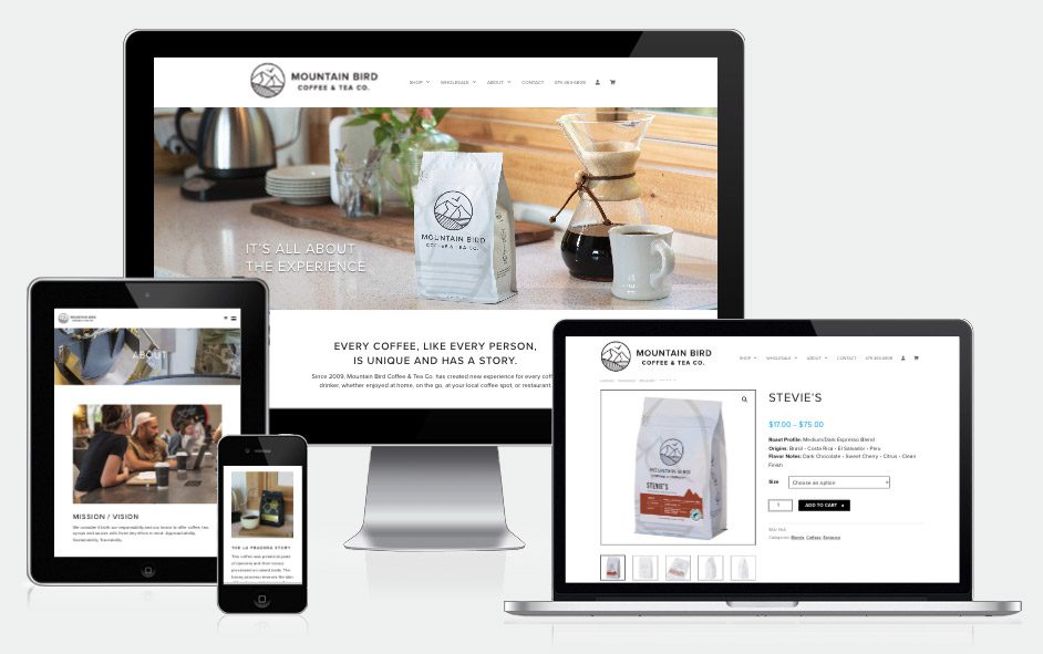 BZ-Portfolio-MountainBird