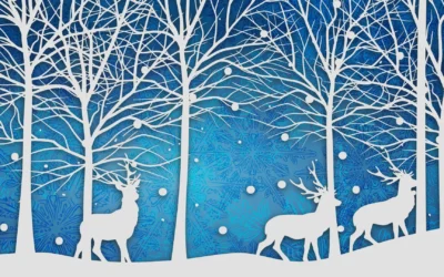 Blue Zoo Creative News for the Holidays 2026